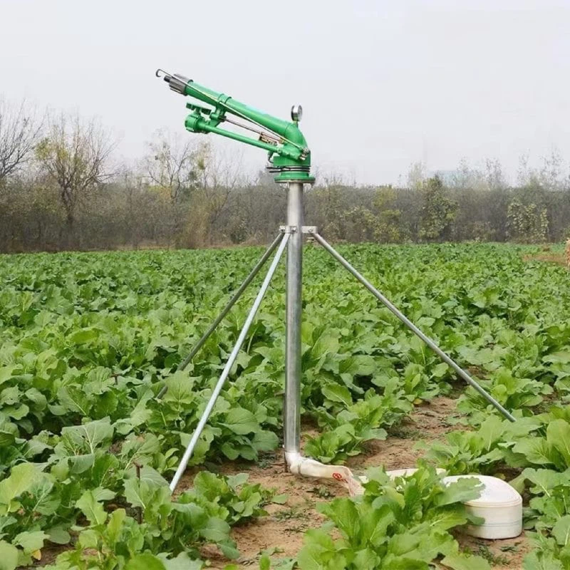 Rain gun with stand