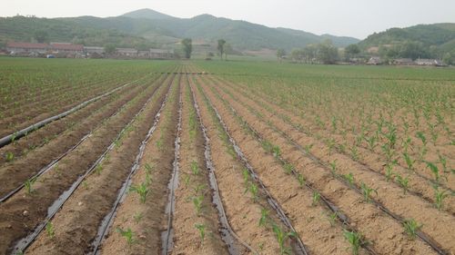 Farm irrigation