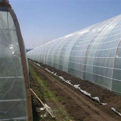 Skleníková fólia odolná voči UV žiareniu 200 mikrónov - odolná poľnohospodárska krytina